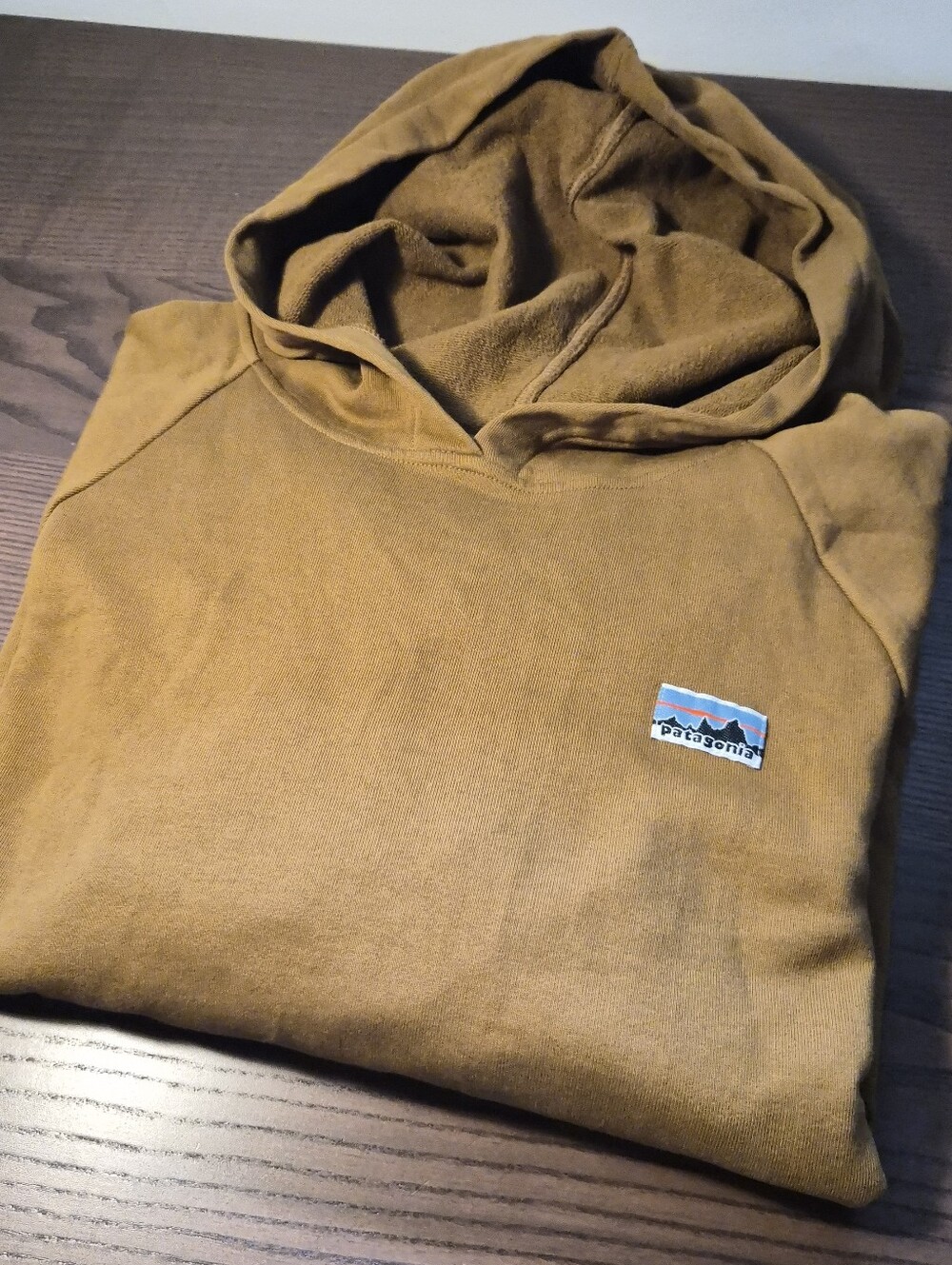 Patagonia 100% Cotton Women's Boxy Essential Hoodie in Shelter Brown
